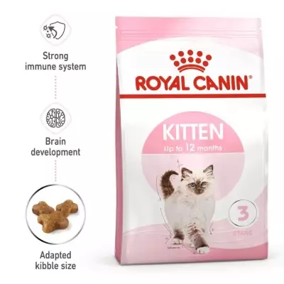 royal canin kitten